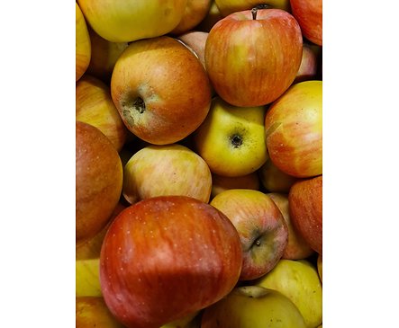 Български ябълки различни сортове