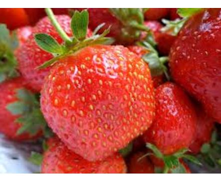 Дългъчев Сладко от ягоди 260 г